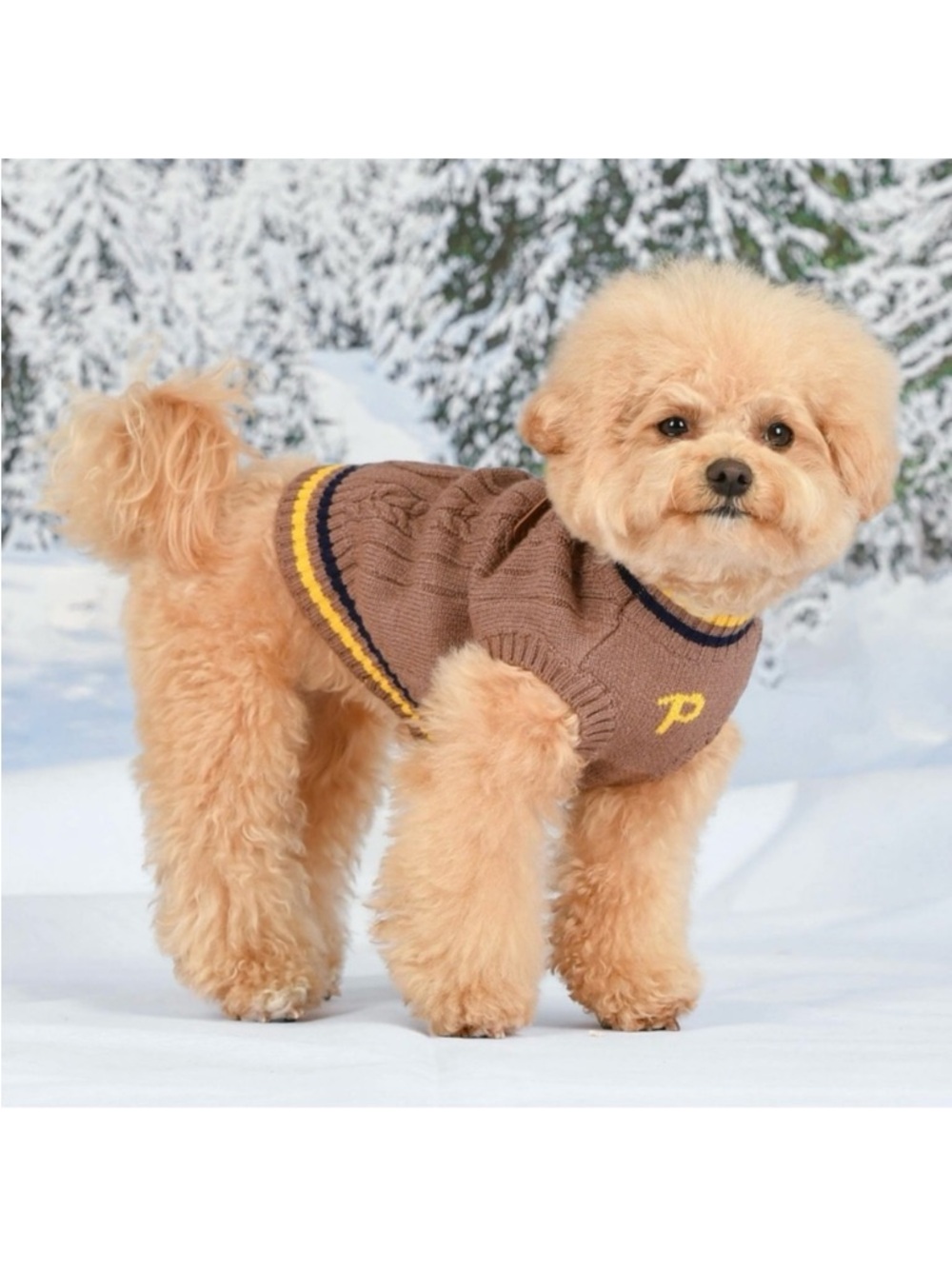 🆕-Puppia Joise- Brown Cable-Knit Dog Sweater w/Striped Trim- Small Medium Dogs - Picture 3 of 11